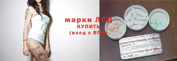 ПСИЛОЦИБИНОВЫЕ ГРИБЫ Алзамай