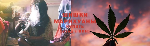 ПСИЛОЦИБИНОВЫЕ ГРИБЫ Алзамай