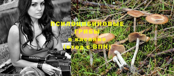 крисы Алексеевка