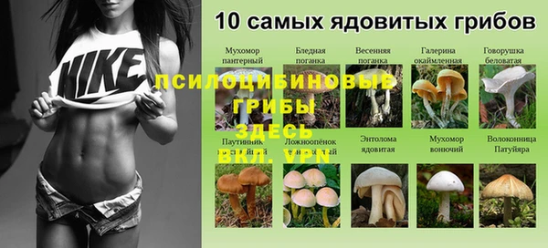 ПСИЛОЦИБИНОВЫЕ ГРИБЫ Алзамай