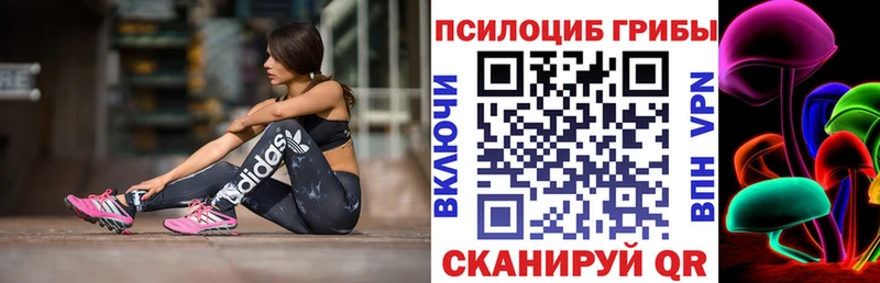 Галлюциногенные грибы прущие грибы  Кола 
